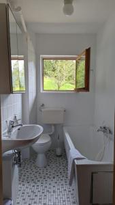 La salle de bains est pourvue d'un lavabo, de toilettes et d'une fenêtre. dans l'établissement großes Berg-Chalet in der Natur, à Bayrischzell