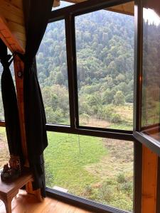 ein Fenster in einem Zimmer mit Waldblick in der Unterkunft Meydan Şelale Apart in Çamlıhemşin