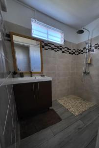 a bathroom with a shower with a sink and a mirror at 971B - La Villa ROUYO, villa créole accessible PMR in Le Moule
