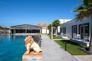a statue of a lion sitting next to a swimming pool at Paradice Hotel Luxury Suites-Near zorbas Beach-FREE Breakfast in Stavros
