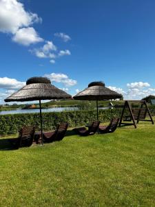 吉日茨科的住宿－Sterla - Masuria，一群椅子和遮阳伞在草地上