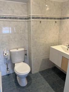 ein Badezimmer mit einem weißen WC und einem Waschbecken in der Unterkunft Residentie Alegria Ostende in Ostende