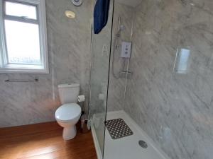 a bathroom with a shower with a toilet and a tub at River View - Norfolk Broads in Brundall