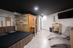 1 dormitorio con 1 cama, TV y sofá en Private Wellness Apartment, en Trebnje