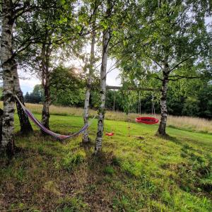 a hammock hanging between two trees in a field at Apartmány RADOST in Kovářská