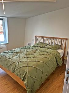 une chambre avec un lit avec une couette verte dans l'établissement Cabinet de rêveries #2, à Cassel