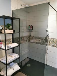 baño con ducha y estante con toallas en Posthoorn Lodge, en Woerden