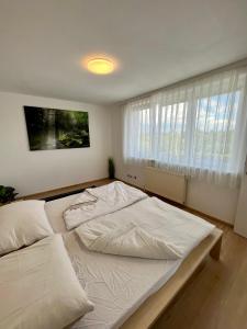 维也纳Atemberaubendes Apartment + Pool的相册照片