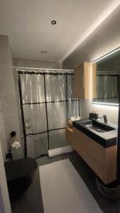 a bathroom with a sink and a shower and a toilet at Le Charme Urbain Lumineux in Brussels