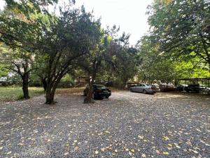 a parking lot with parked cars and trees at Lozenets Apartment in Sofia