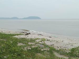 a beach with a bunch of trash on it at Warisan Homestay B in Mersing
