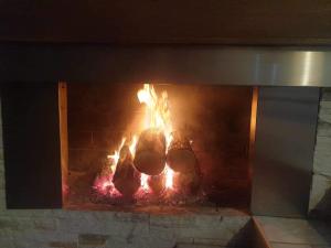 um fogo num forno de tijolos com três cogumelos dentro em Holiday House Kubrat em Sapareva Banya