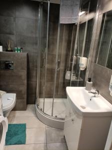 ein Bad mit einer Dusche, einem Waschbecken und einem WC in der Unterkunft Krowoderska Center 2 in Krakau