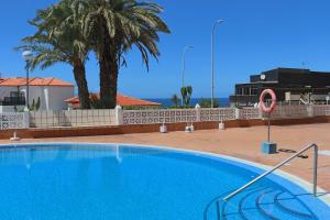 Una gran piscina azul junto a una palmera. en Sunflower Apartment Just Relax, en Puerto de Santiago