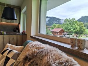 un perro tirado en un sofá frente a una ventana en Berwang 1336 Apartments en Berwang