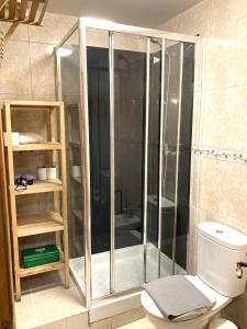 uma cabina de duche na casa de banho com WC em Lisbon T2 apartment in typical villa in Sapadores Lisbon em Lisboa