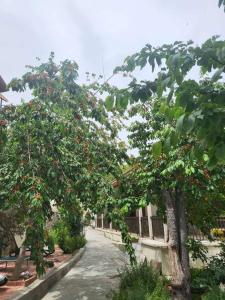 Zahrada ubytování Kallithea INN