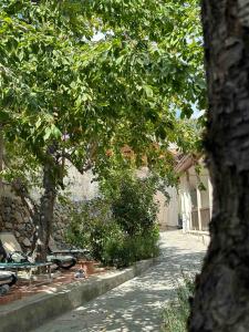 Zahrada ubytování Kallithea INN