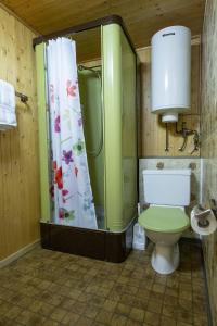 łazienka z prysznicem i toaletą w obiekcie Chasa Broel Ferienhaus mitten in Ardez w mieście Ardez