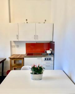 a kitchen with a table with a potted plant on it at London SW Holiday Apartment - Free parking in London