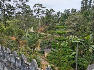 a view of the jungle from the top of a mountain at Tea Leaf Guest House Castlereagh in Hatton