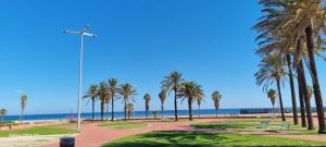a park with palm trees and the beach at Barco Frapé in Barcelona