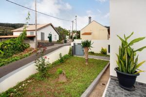 un pequeño jardín en una casa con plantas en Simão House, en Calheta