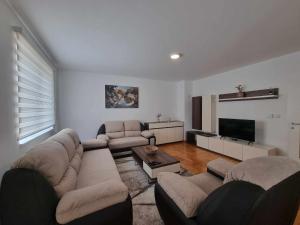 Una sala de estar con dos sofás y un televisor. en Apartman Tesla Pale, en Pale