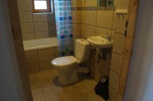 a bathroom with a toilet and a sink at Schronisko PTTK Hala Szrenicka in Szklarska Poręba