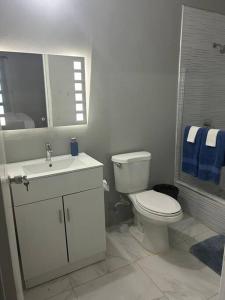 a bathroom with a toilet and a sink and a mirror at Oak Villa MontegoBay2 Queen Room in Montego Bay