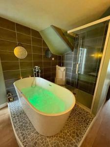 een badkamer met een bad met groen water bij Cottage Relax. in Rouen