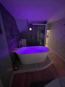 een badkamer met een bad met paarse verlichting bij Cottage Relax. in Rouen
