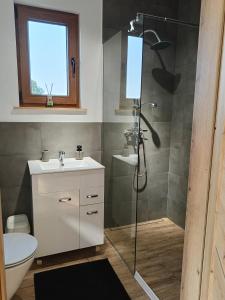 a bathroom with a shower and a sink at Klimatyczny Domek - całoroczny in Rydzewo