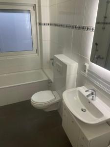 La salle de bains blanche est pourvue de toilettes et d'un lavabo. dans l'établissement Fewo Linde OG, à Olpe