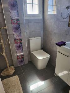 a bathroom with a toilet and a sink at Cosy 2 bedroom near sea Costa del Silencio in Costa Del Silencio