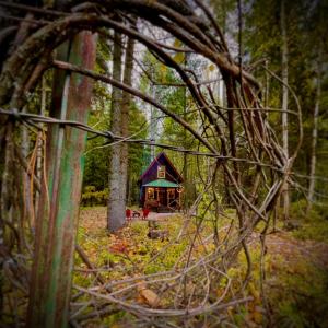 une petite cabine au milieu d'une forêt dans l'établissement Kataluma Inn, Sandpoint, Idaho - entire cozy cabin, à Sandpoint