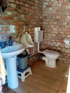 a bathroom with a sink and a toilet at Happy Park Salicea in Sălicea