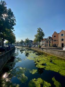 a river with algae in the middle of a street at Studio 157, in de stad aan de gracht in Kampen