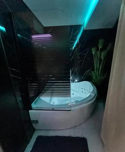 ein Badezimmer mit einem WC und einer Badewanne mit einer Pflanze in der Unterkunft AirportApart Exklusives Apartment mit Whirpool 2,5 km vom Flughafen Nürnberg in Nürnberg