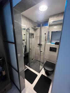 bagno con doccia e servizi igienici neri. di AirportApart Exklusives Apartment mit Whirpool 2,5 km vom Flughafen Nürnberg a Norimberga