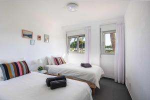 two beds in a room with white walls and windows at Apartamento Jardín 1 in Las Palmas de Gran Canaria