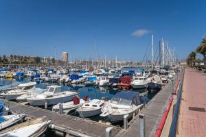 a bunch of boats docked in a harbor at Apartamento Jardín 1 in Las Palmas de Gran Canaria
