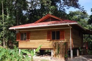a wooden house in the middle of a forest at Jungle beach 2 bedroom cottage in Bocas Town