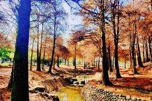 Paesaggio naturale nelle vicinanze dell'ostello