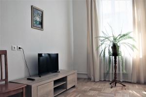 派尔努南方旅馆的一间带电视和棕榈树的客厅