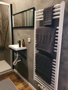 a bathroom with a sink and a mirror and towels at Den Gulden Hoorn in Antwerp