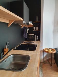 een keuken met een wastafel en een aanrecht bij Den Gulden Hoorn in Antwerpen