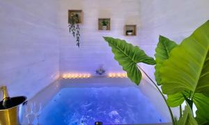 a bathtub in a bathroom with plants in it at Le Sanglier Amoureux in Érezée