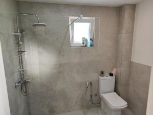 une salle de bain avec une douche avec des toilettes et un lavabo dans l'établissement Dino Sarajevo Apartment, à Sarajevo 9 autres photos