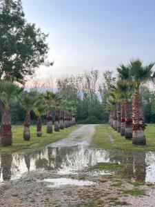 Φωτογραφία από το άλμπουμ του GOLD FISH σε Gornji Štoj +16 φωτογραφίες